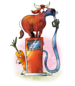 ©Alain Robert Studio_24 HEURES Bio carburant